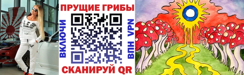 Галлюциногенные грибы мицелий  Купить закладки  Кудымкар 